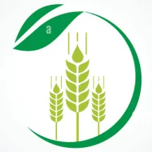 Logo Grani antichi srl